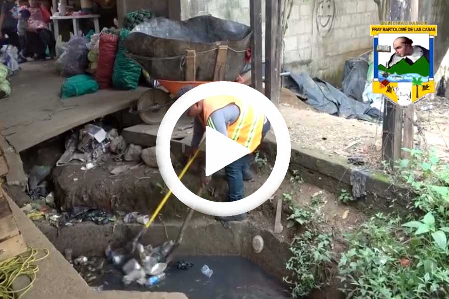 Ver galería en Facebook