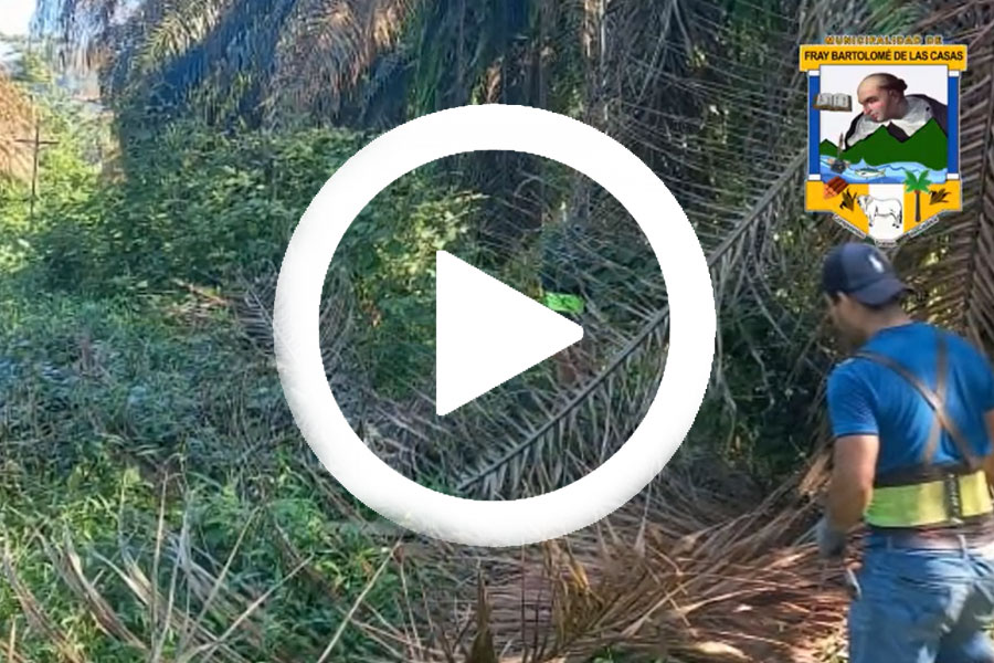 Ver video en el Facebook